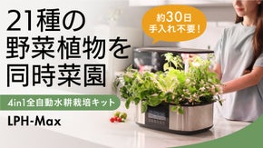 同時に多種の栽培を楽しめて便利！全自動でスクスク育つ大容量水耕栽培　LetPot