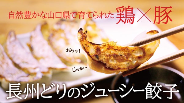 山口「長州どり」鶏&times;豚の肉汁たっぷりジューシー餃子【225開業】