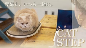 【韓国直輸入】愛猫と近くで過ごしたい方へ。机や棚に簡単に設置「CAT STEP」