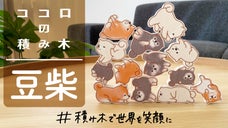 「ココロの積み木」シリーズに 豆柴 が登場！癒しの時間とリフレッシュを