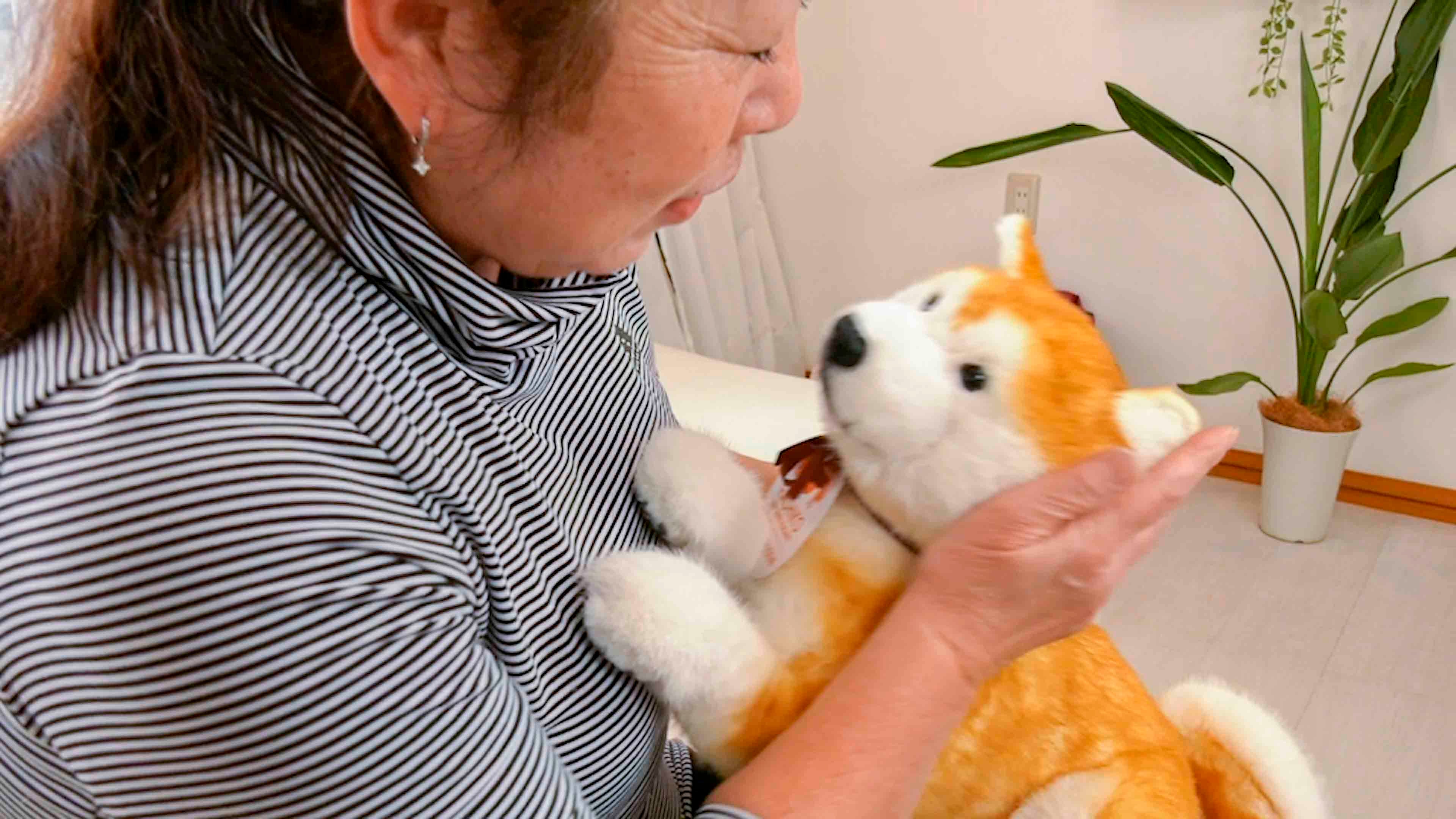 ハチ公生誕100年記念「撫でると鳴く、忠犬ハチ公型ロボット
