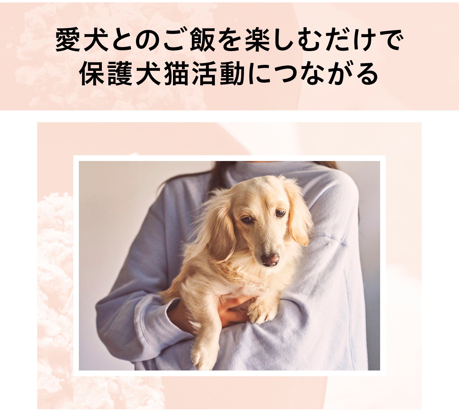 毎日の愛犬ごはんが保護犬猫を救う！栄養士さんが考えた
