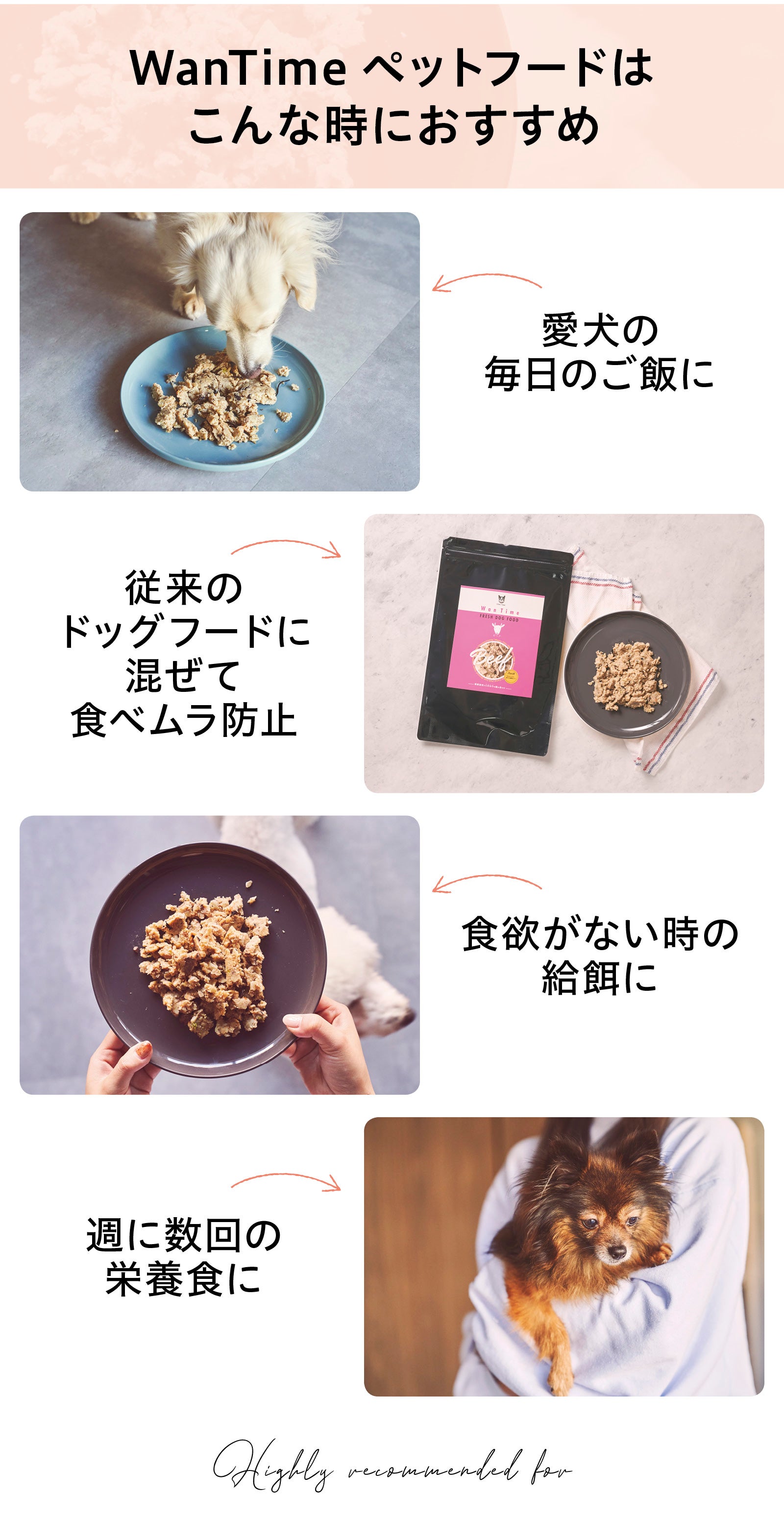 毎日の愛犬ごはんが保護犬猫を救う！栄養士さんが考えたフレッシュ