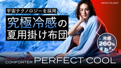 BRAIN SLEEP]ブレインスリープ ピロー パーフェクト クール ＋ ピロー