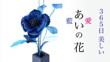 【キレイが続く藍色の花】現代の名工が創る藍染めのアートフラワー「藍染花」