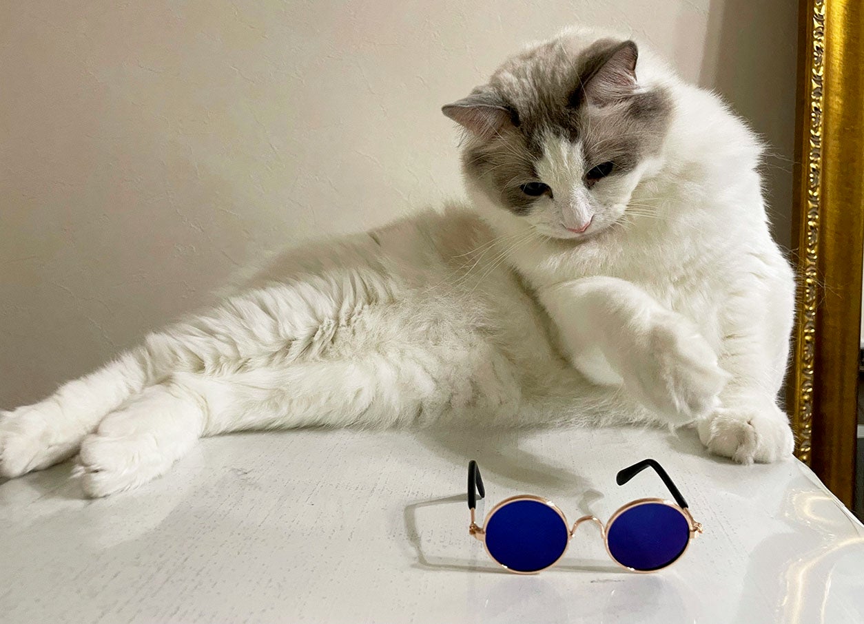 宇和島産無調色パールを使用】猫ちゃんデザインのアルファベット