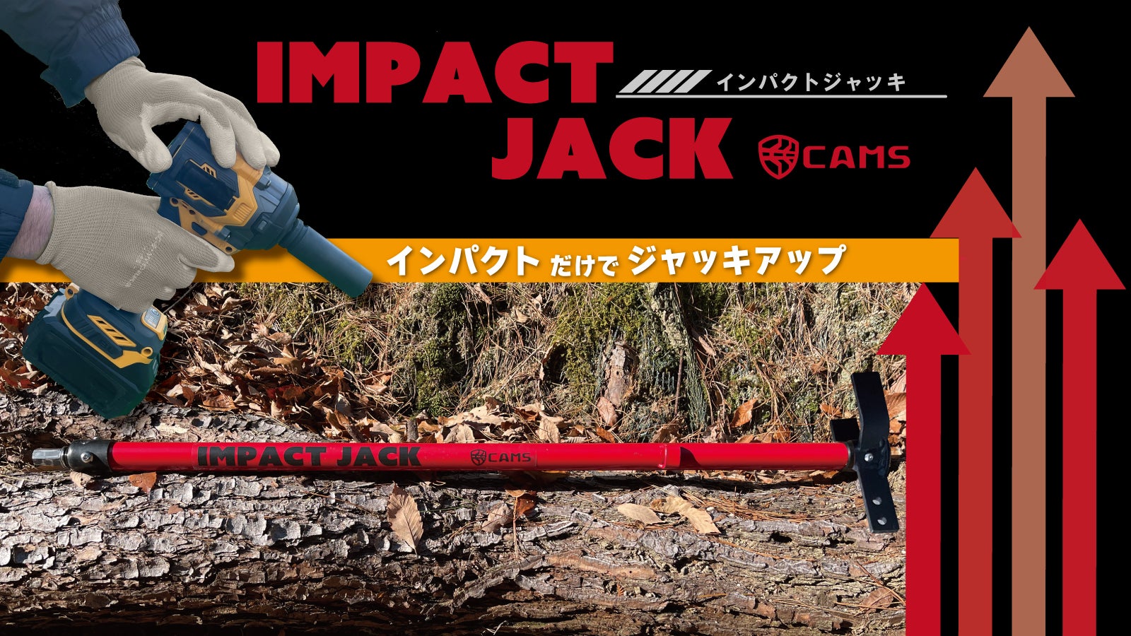 main_32521.jpg?version=