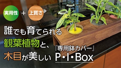 上質な高級家具と手間いらずの観葉植物がマッチング。生きるインテリア