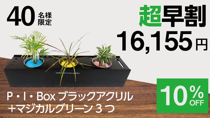 上質な高級家具と手間いらずの観葉植物がマッチング。生きるインテリア