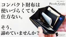 【仕分けて入れる】コンパクトだけど、使いやすいを叶える仕分け上手なポケット財布