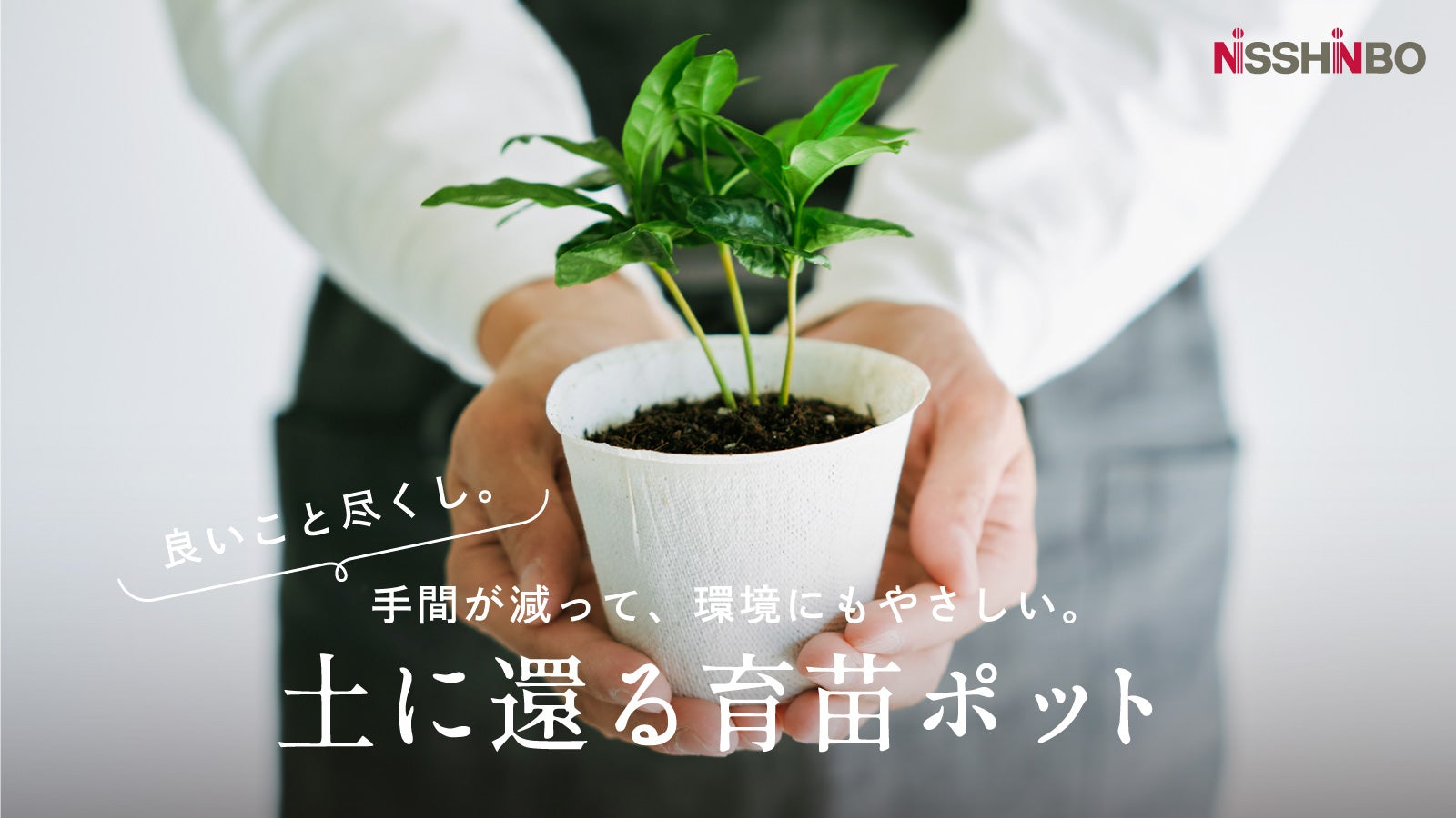 main_32621.jpg?version=