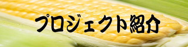コーンの美味しさをギュッと閉じ込めた』横綱コーンジェラートの全国