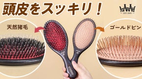 ATARAHブラシ一本で、心地よい毛髪ケアまで！猪毛ブラシとゴールドピンブラシ