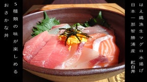 お魚好きにはたまらない、おさかな丼と紅白マグロ丼