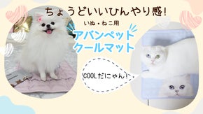 暑い夏でも心配いりません！環境にやさしい「アバンペットクールマット」