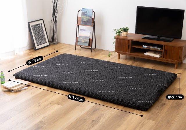 Makuake｜テイジン 快適清潔プレミアム 快眠サポートまくら 実行者の