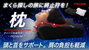 テイジン 快適清潔プレミアム 快眠サポートまくら