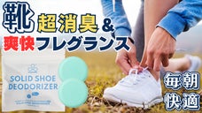 玄関を癒せ！毎朝の靴、下駄箱、超爽快｜同時に働く強力消臭とフィトンチッドの香り！