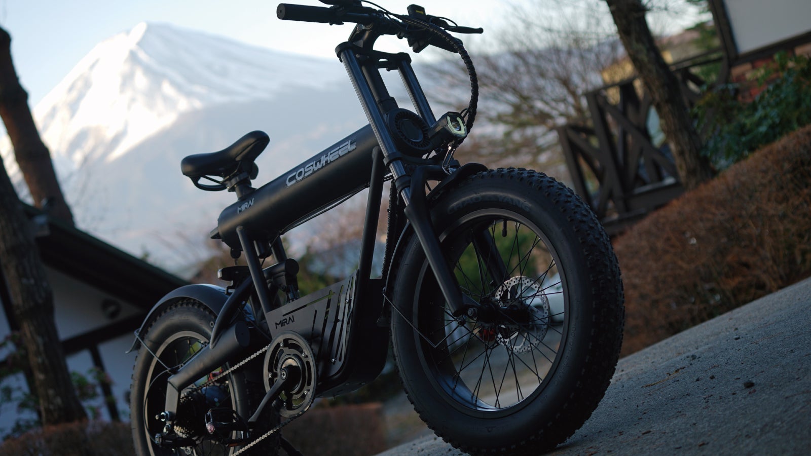 coswheel 電動自転車　e-bike MATE MOVE カスタム coswheel 電動自転車 e-bike MATE MOVE カスタム