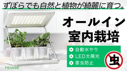 ほったらかしのずぼら栽培。水やりも楽々な、LED太陽光「栽培キット