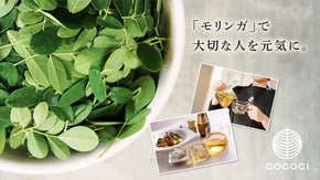 スーパーフード「モリンガ」で大切な人を元気に。障がい者事業所が贈るモリンガギフト