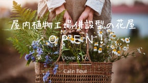 第1弾!土を使用しない水耕栽培専用の屋内植物工場併設型の花屋をOPENしたい！