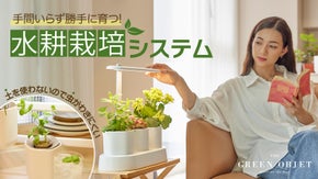 手間がかからない・虫がわきにくい・日当たりを気にしない！自動植物栽培プランター