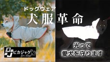 夜道の危険からピカッと光って愛犬を守る、飼い主も一緒に守る！犬用反射ジャケット