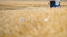 小麦畑のまん中。種まきからじぶんたちで。「畑のパン」って私たちの夢でした。