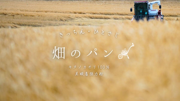 小麦畑のまん中。種まきからじぶんたちで。「畑のパン」って私たちの夢でした。