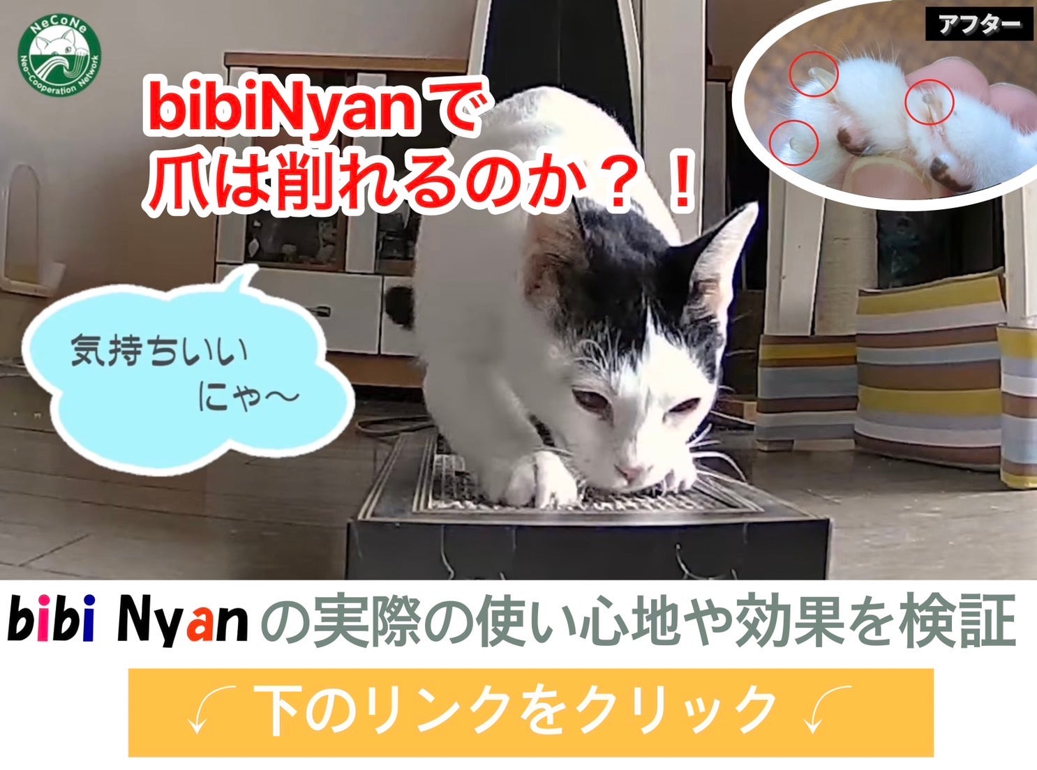 猫ちゃんの爪とぎだけで爪が削れる爪とぎボード・bibi Nyanに「壁掛け