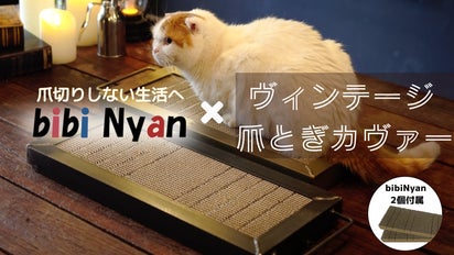 猫ちゃんの爪が削れちゃう爪とぎボード・ビビニャンにアイアン