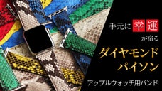 Apple Watchに個性を！ダイヤモンドパイソンのアップルウォッチ用バンド