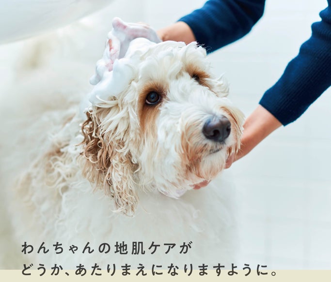 TEGSUMIシルクケアシャンプー 天然シルク犬用シャンプー 300ml 無添加 低刺激 オーガニック 速乾 時短 トリートメントインシャン