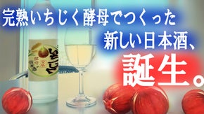 未知の味わいをあなたに。。。愛知県尾張旭産完熟いちじくの酵母で作った日本酒