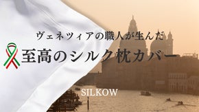 髪の毛の付着を防ぐ！高級6Aシルク100%贅沢枕カバー【ラグジュアリーデザイン】