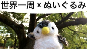 「世界一周 &times; ぬいぐるみ」あなたのお気に入りのぬいぐるみと世界一周の旅へ！