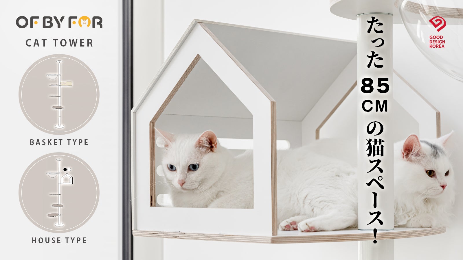 猫様だけがわかる魅惑の階段、思う存分に爪どきを！「OF BY FOR