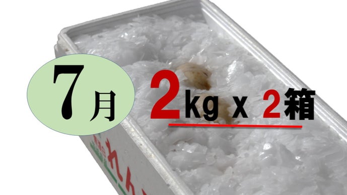 夏限定の贅沢。茨城で育てられた極上「夏れんこん」を朝堀り、氷詰めで