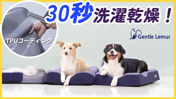 大好評第2弾！流水で洗えばOK！枕職人が開発した【完全丸洗いできる】ペットベッド