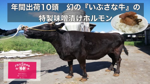年間出荷約10頭　幻のいぶさな牛を国産味噌で漬けた「特製味噌漬けホルモン」