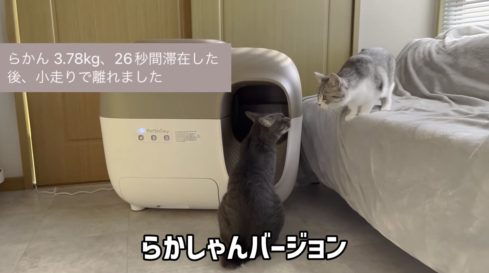Pety  全自動猫トイレ PREMIUMバージョン 猫ちゃんに心地よいトイレ空間！自動梱包・徹底消臭・全自動猫トイレ