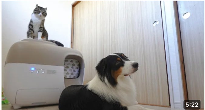 Makuake｜猫ちゃんに心地よいトイレ空間！自動梱包・徹底消臭・全自動