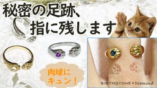 あなたの指に秘密の足跡残します。猫の肉きゅうにキュン！とする誕生石リング