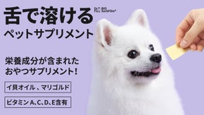 瞬く間に溶けるから口の中に栄養素がいっぱい！食べさせやすいペットサプリメント!