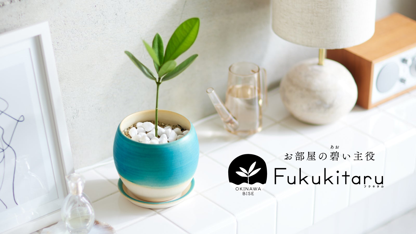 スタイルある暮らしに福を呼び込む。沖縄備瀬から「Fukukitaru