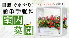第二弾！全自動室内水耕栽培キット【アスパラガーデン】採れたて無農薬野菜をご家庭で