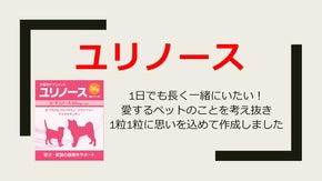 『動物病院専売品』鶏味で美味しい犬猫ペットD-マンノース・クランベリー配合サプリ