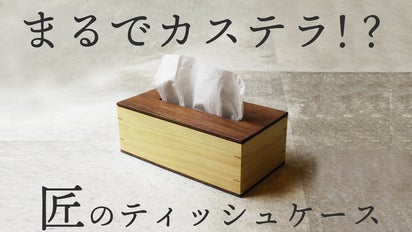 『ネオンテトラ』極上黒檀のティッシュボックス&小物入れ？ペントレー？ tissuebox-03035 イントレチャート ティッシュカバー | ART OF BLACK