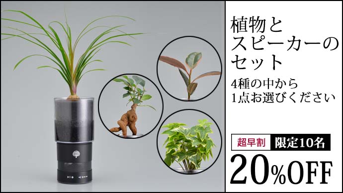 花屋が開発！緑と音楽を同時に楽しめるインテリアスピーカー。MIDORI